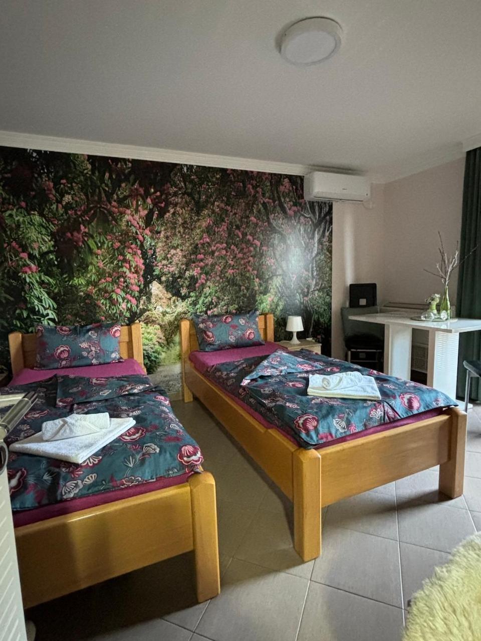 Apartmani "Marija" Golubac Dış mekan fotoğraf