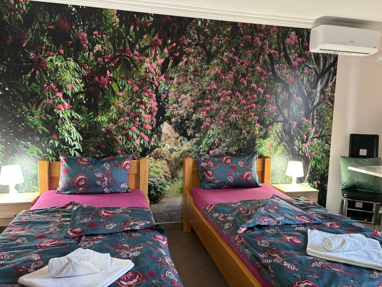 Apartmani "Marija" Golubac Dış mekan fotoğraf